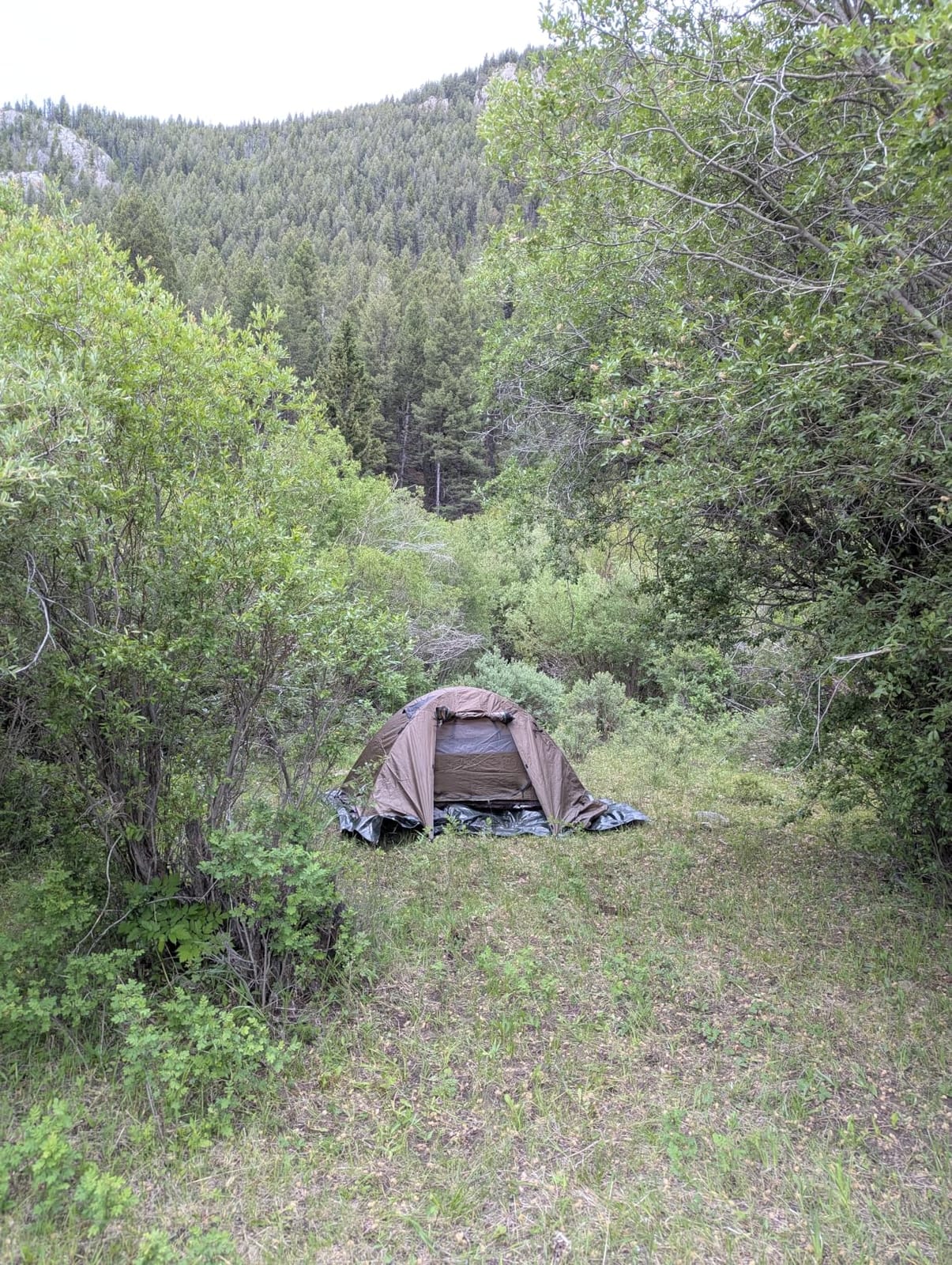 Forceatt Camping Tent 2/3/4 Person, Professional Waterproof & Windproof Lightweight Backpacking Tent Suitable for Outdoor,Hiking,Camping, Mountaineering and Travel customer photo 2