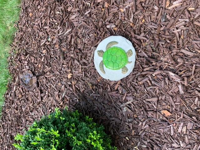 Spoontiques -Garden Décor - Turtle Stepping Stone - Decorative Stone for Garden customer photo 1