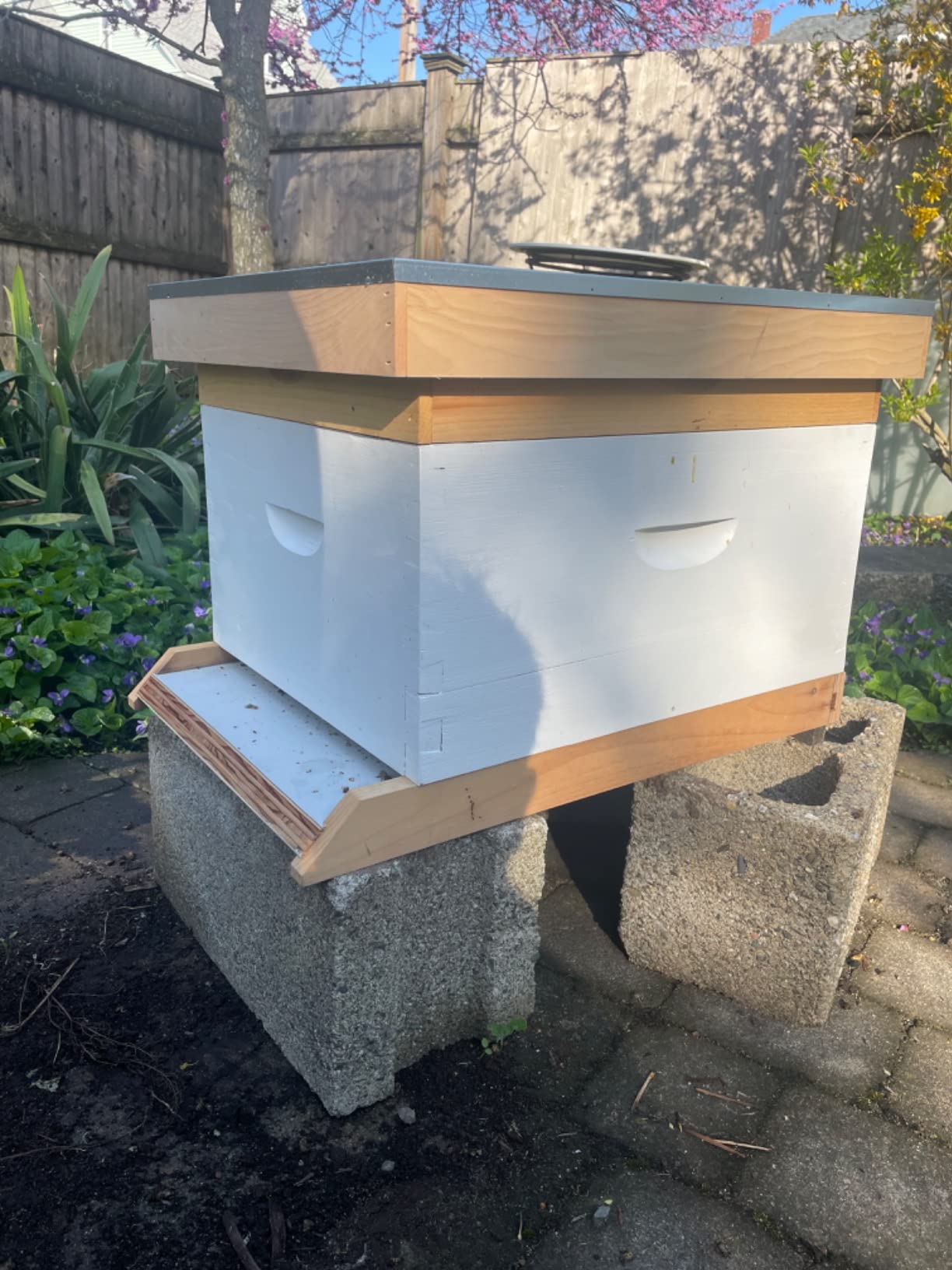 CREWORKS 5 Layer Bee Hive, Beehive for Honey, Bee Box Beekeeping Supplies, Hive Kit for Starter Beekeeper (No Frames) customer photo 2