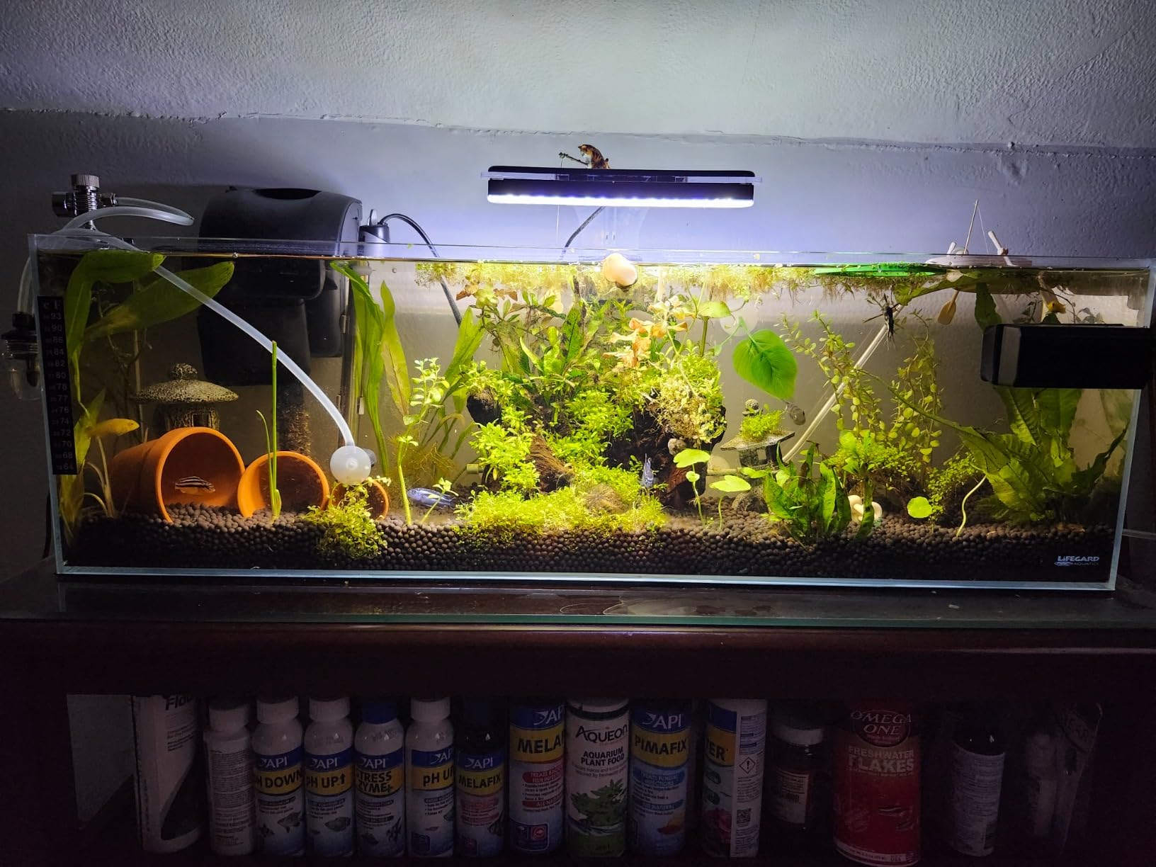 LIFEGARD Low Iron Ultra Clear Crystal Bookshelf Aquarium with Foam Leveling Mat – Rimless Aquariums with 45-Degree Beveled Edge, Peninsula Style – for Fish and Corals – 22 Gallon Capacity customer photo 1