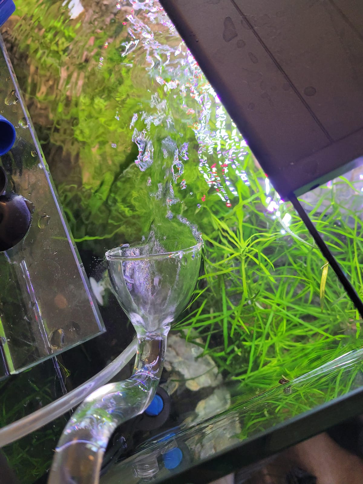 FZONE Aquatic Glass Lily Pipe Set with Skimmer Inflow and Outflow for Aquarium Filter 5/8''(16/22mm) Tubing customer photo 1