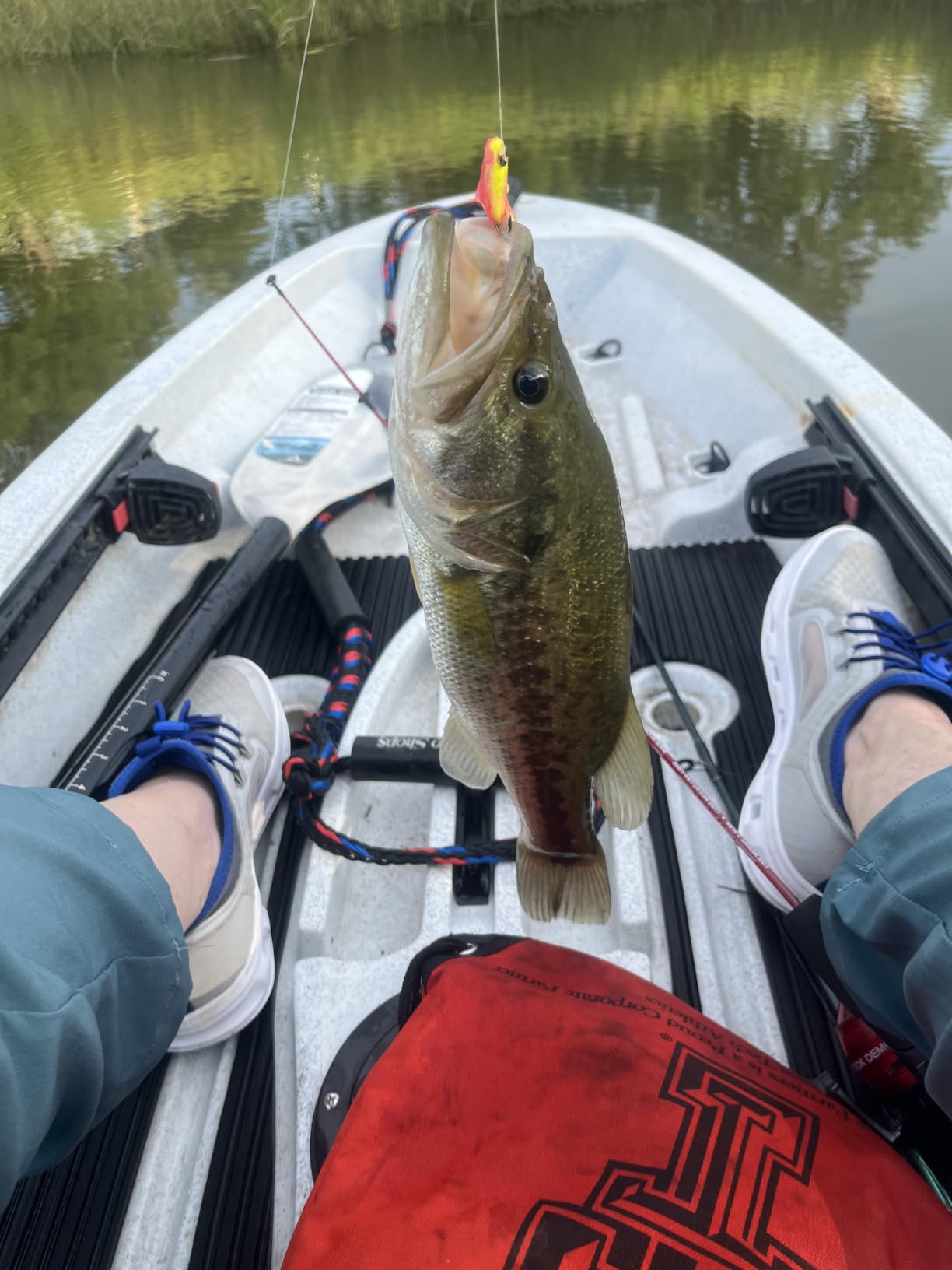 TRUSCEND Shadtale Easy Catch Soft Fishing Lures with BKK Hooks - Trembly Sinking and Vibrating Swim for More Bites, Pre-Rigged Swimbaits for Bass, Trout, Crappie, Walleye, Freshwater Saltwater Fishing customer photo 1