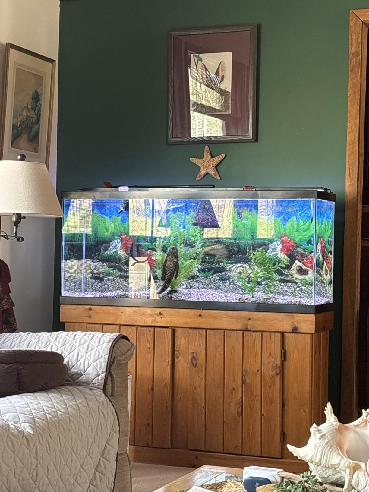 Tetra 5.5 Gallon Glass Aquarium, Rectangular Fish Tank customer photo 2