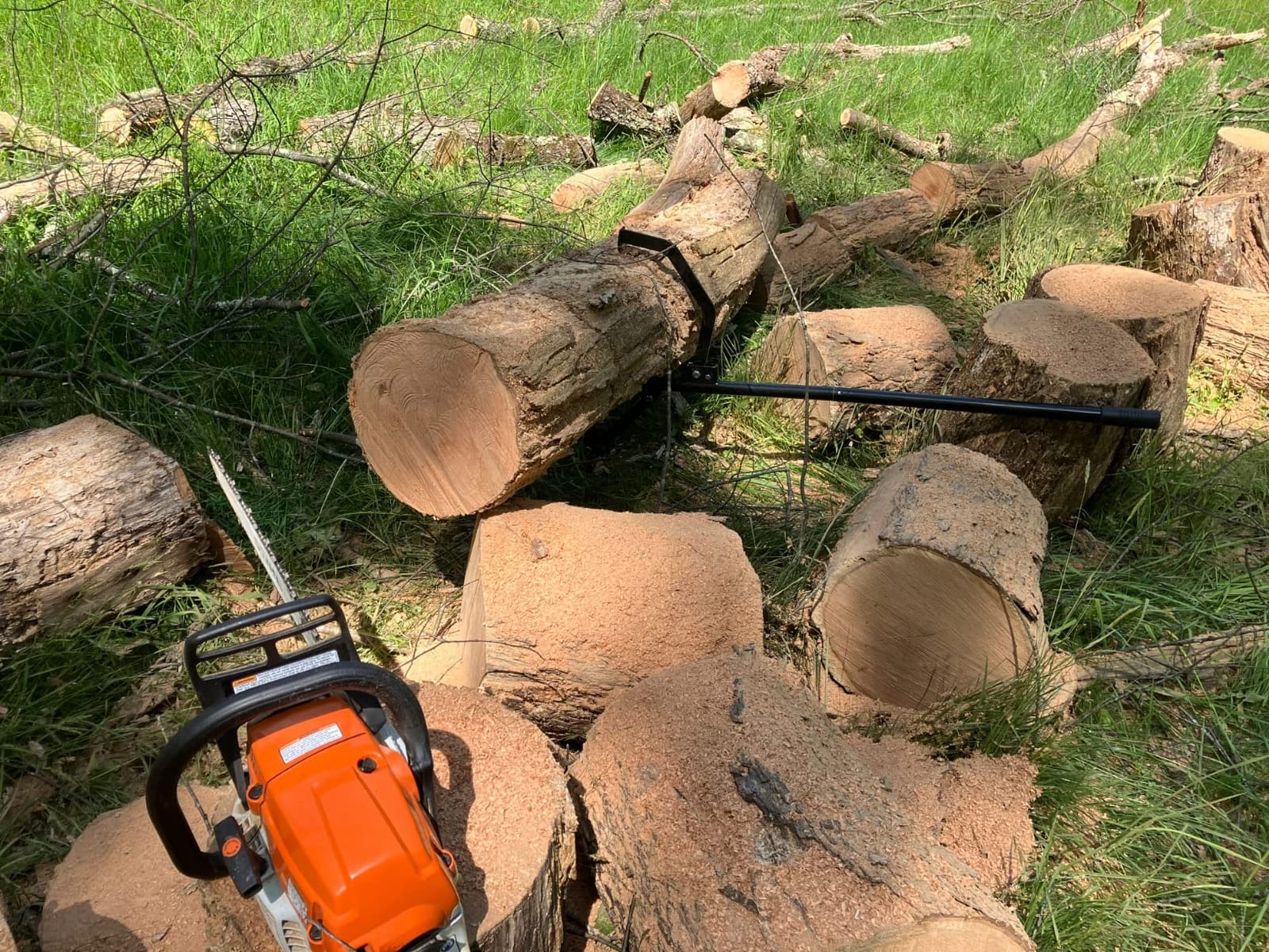 Right Hand Timberjack Triple Thick Log Lifter that Never Bends, Heavy-Duty Log Jack Helps You Lift, Move & Chainsaw Timber, Lumber & Wood, Grip Handle, Thick Heavy Steel Body, Adjustable Hook customer photo 1