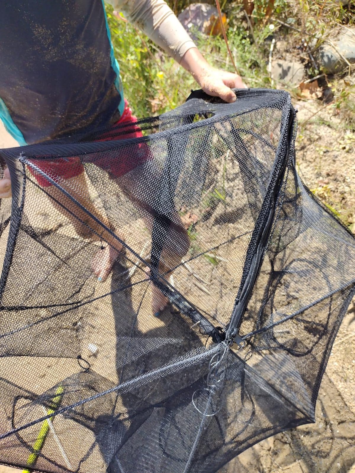 Drasry Black Fishing Bait Trap Foldable Fish Net for Minnow Crab Crayfish Crawdad Shrimp Trap Cast Net Dip Cage Collapsible Easy Use 4 6 Hole Fishing Accessories customer photo 1
