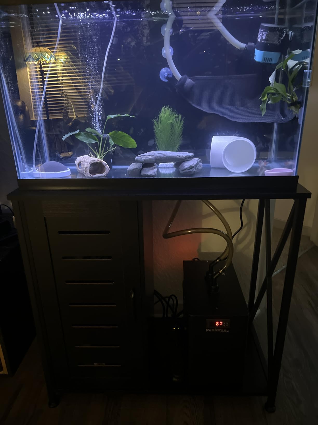 Poafamx 42gal Aquarium Chiller 1/10 HP Ultra Quiet Compressor Water Chiller | with Pump & Tubing, for Axolotl Jellyfish Hydroponics System Coral Reef Tank, 160L Freshwater Saltwater Cooling System 110V customer photo 2