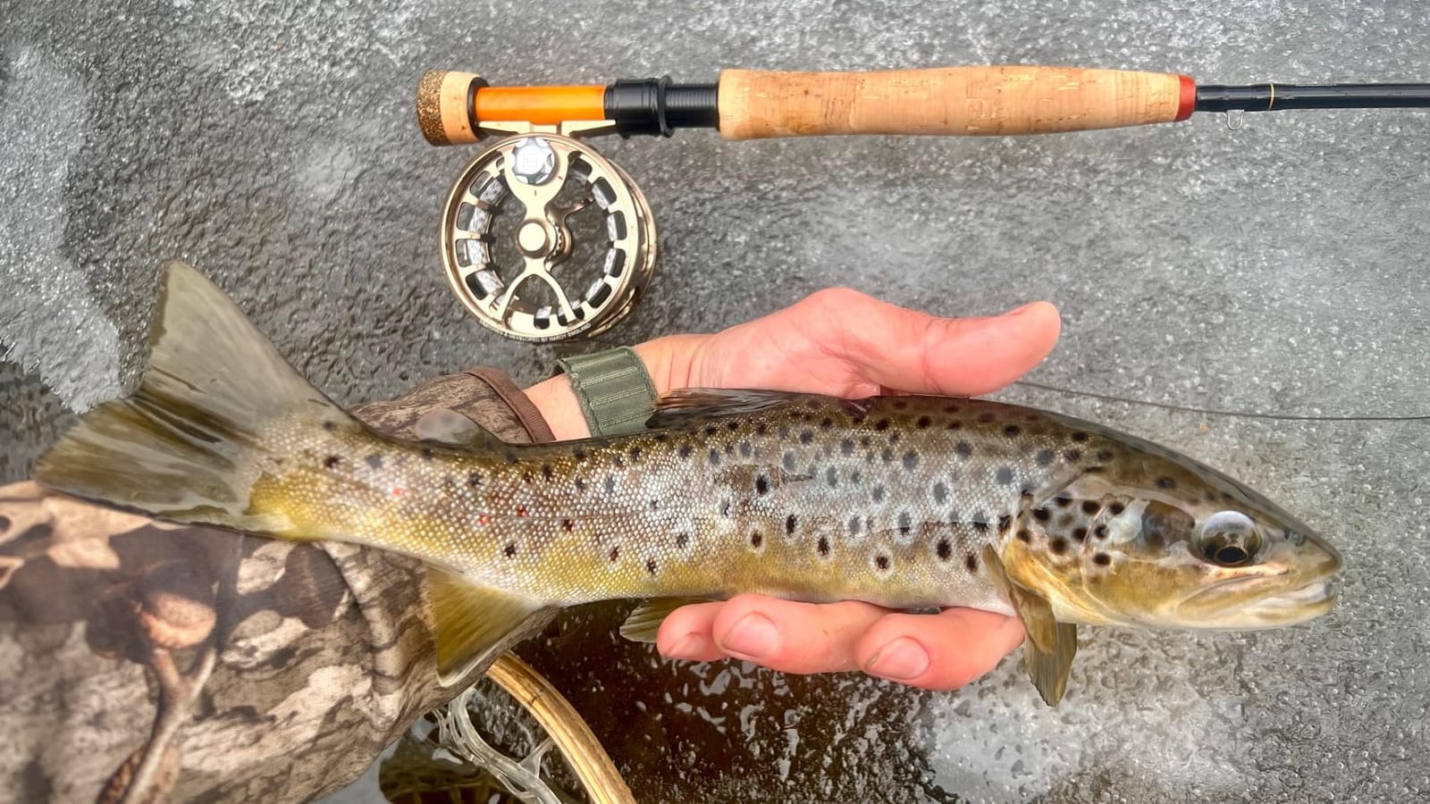 Maxcatch Competition InTouch Nymph Fly Rod for Euro nymphing Fly Fishing customer photo 1