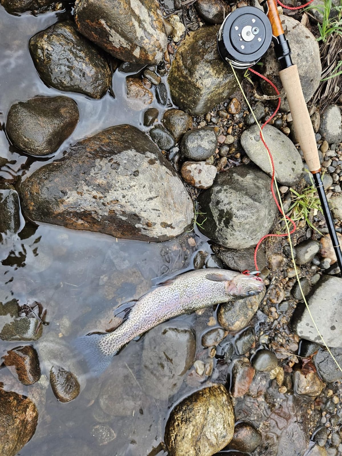 Maxcatch Competition InTouch Nymph Fly Rod for Euro nymphing Fly Fishing customer photo 2