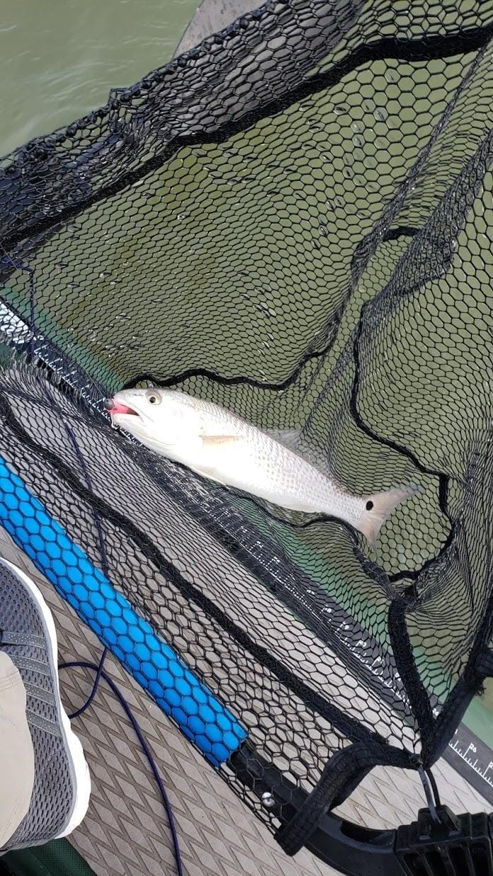 PLUSINNO Fishing Net Fish Floating Landing Net with Handle customer photo 2
