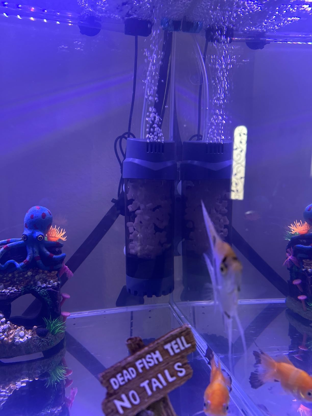 AQQA Fluidized Moving Bed Filter with Sponge, Submersible Aquarium Filter customer photo 2