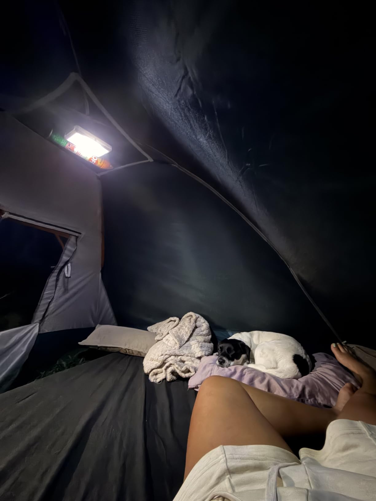 Camping Tent 2-4 Person, Waterproof Windproof Tent with Rainfly Easy Set up-Portable Dome Tents for Camping… customer photo 1