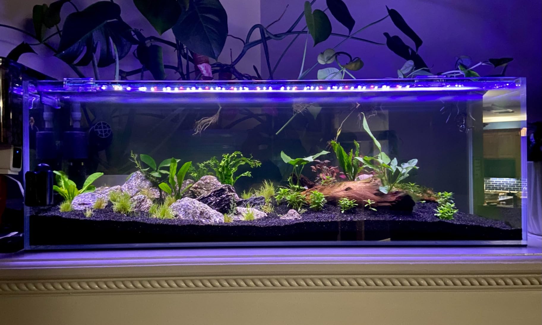 NICREW SkyLED Plus Aquarium Plant Light, Freshwater Fish Tank Light with Ramp Up and Dim Down, Spectrum Adjustable and Lighting Schedule Programmable with Controller, 48-60 Inches, 45 Watts customer photo 1