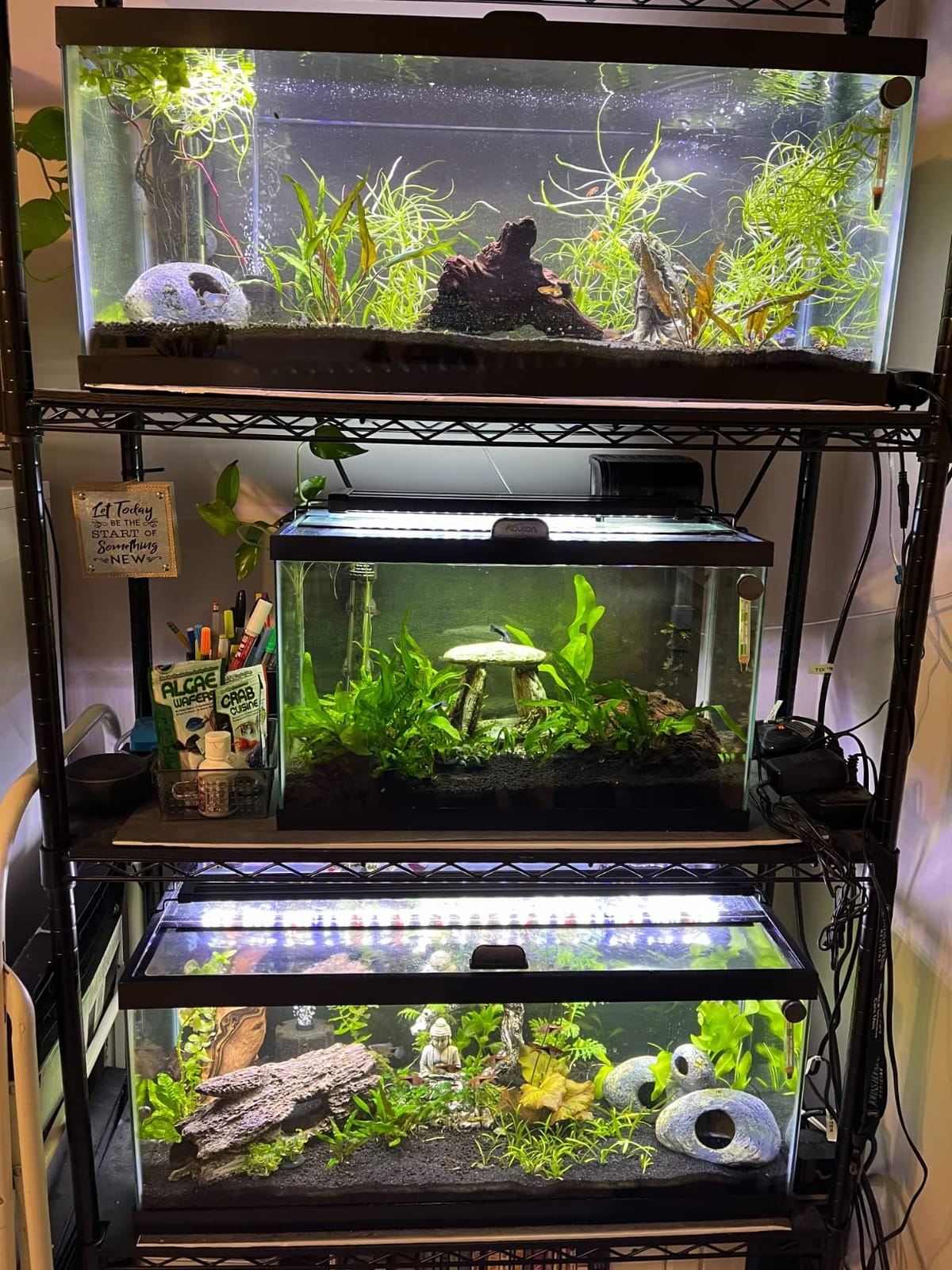NICREW SkyLED Plus Aquarium Plant Light, Freshwater Fish Tank Light with Ramp Up and Dim Down, Spectrum Adjustable and Lighting Schedule Programmable with Controller, 48-60 Inches, 45 Watts customer photo 2