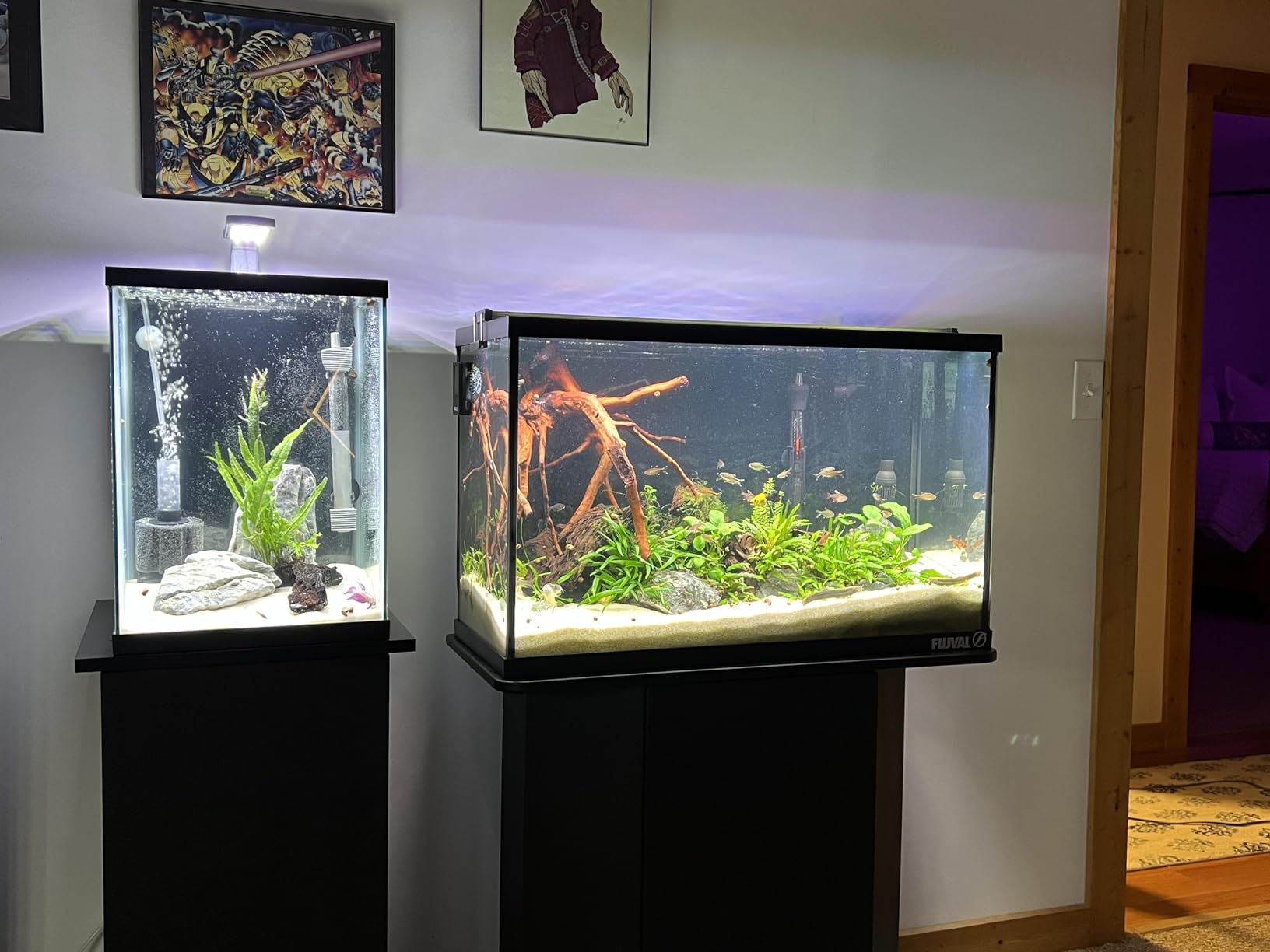 TWINSTAR Aquarium LED Light B-Line (90B) customer photo 1