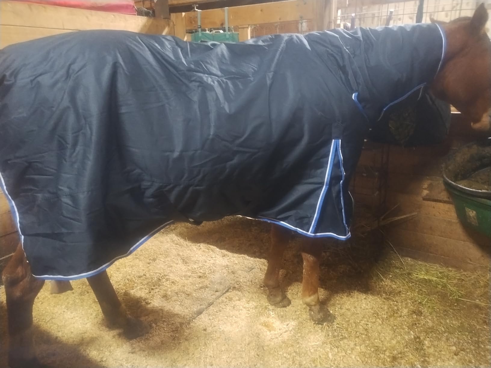 HORZE Glasgow Waterproof Combo Turnout Horse Blankets for Real Horses customer photo 1