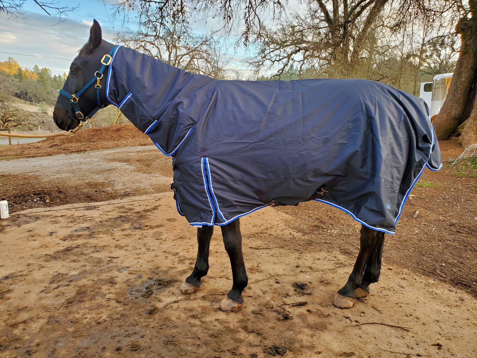 HORZE Glasgow Waterproof Combo Turnout Horse Blankets for Real Horses customer photo 2