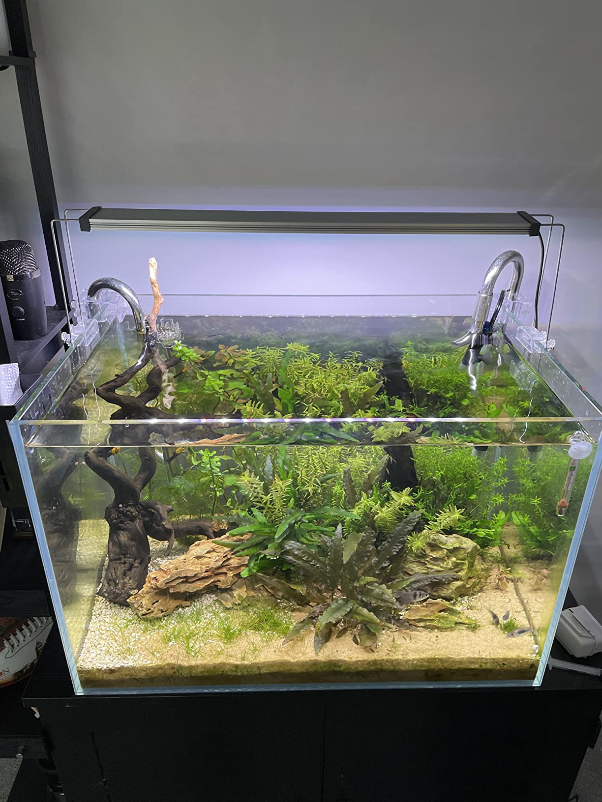 TWINSTAR A-Line LED Aquarium Light - W-RGB Full Spectrum Aquarium Light, Light for Aquarium Plants & Fish, Adjustable for/Fit 8