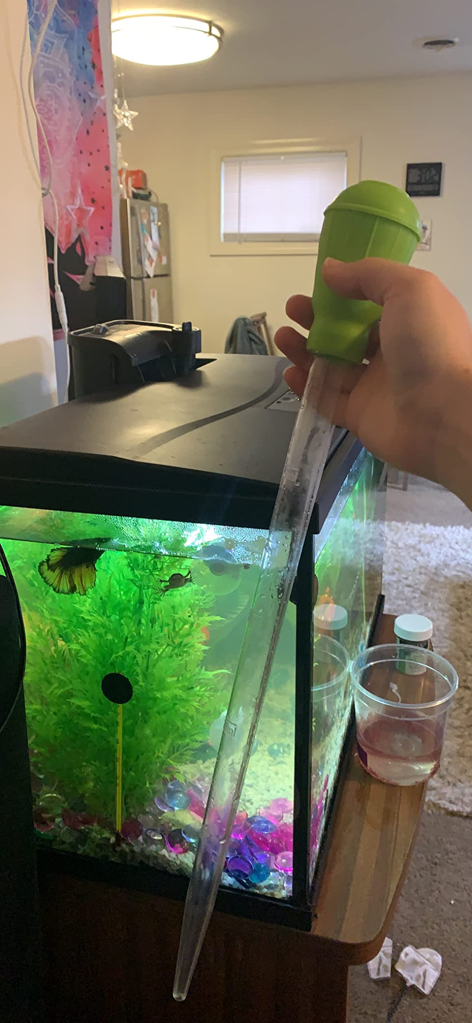 2pcs Aquarium Coral Feeder with Feeding Tweezer Syringe Spot, Blue, Black customer photo 2