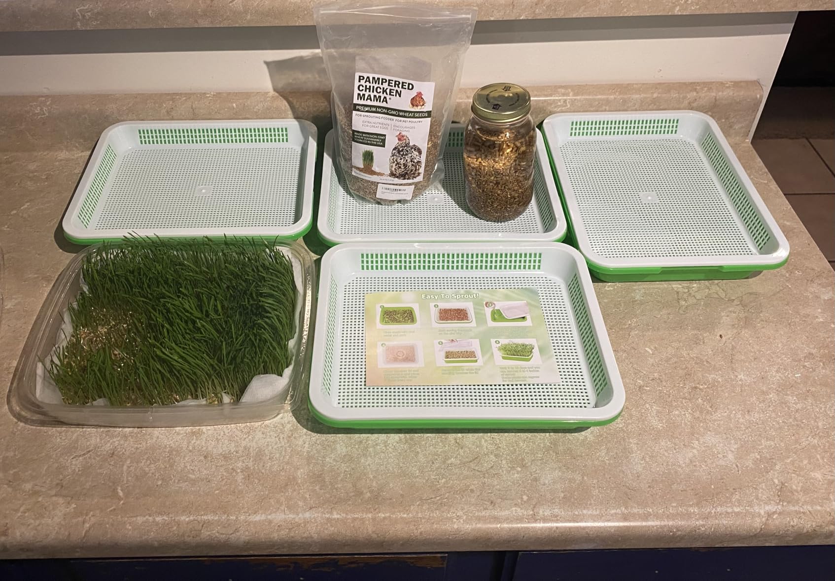 Legigo 5 Pack Seed Sprouter Trays with Lids, Microgreens Growing Trays Kit | BPA Free & Soil Free, Reusable Sprouting Kit with Germination Paper for Wheatgrass, Beans, Cat Grass and Indoor Gardening customer photo 2