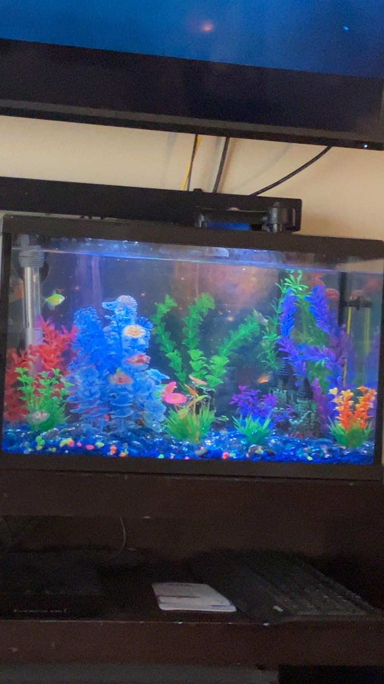 Mechpia 13 Pieces Aquarium Decorations Kit, Fish Tank Decorations Set Small Resin Castle and Rockery Betta Fish Cave Hideout Coral Artificial Plastic Plants Ornament Accessories customer photo 2