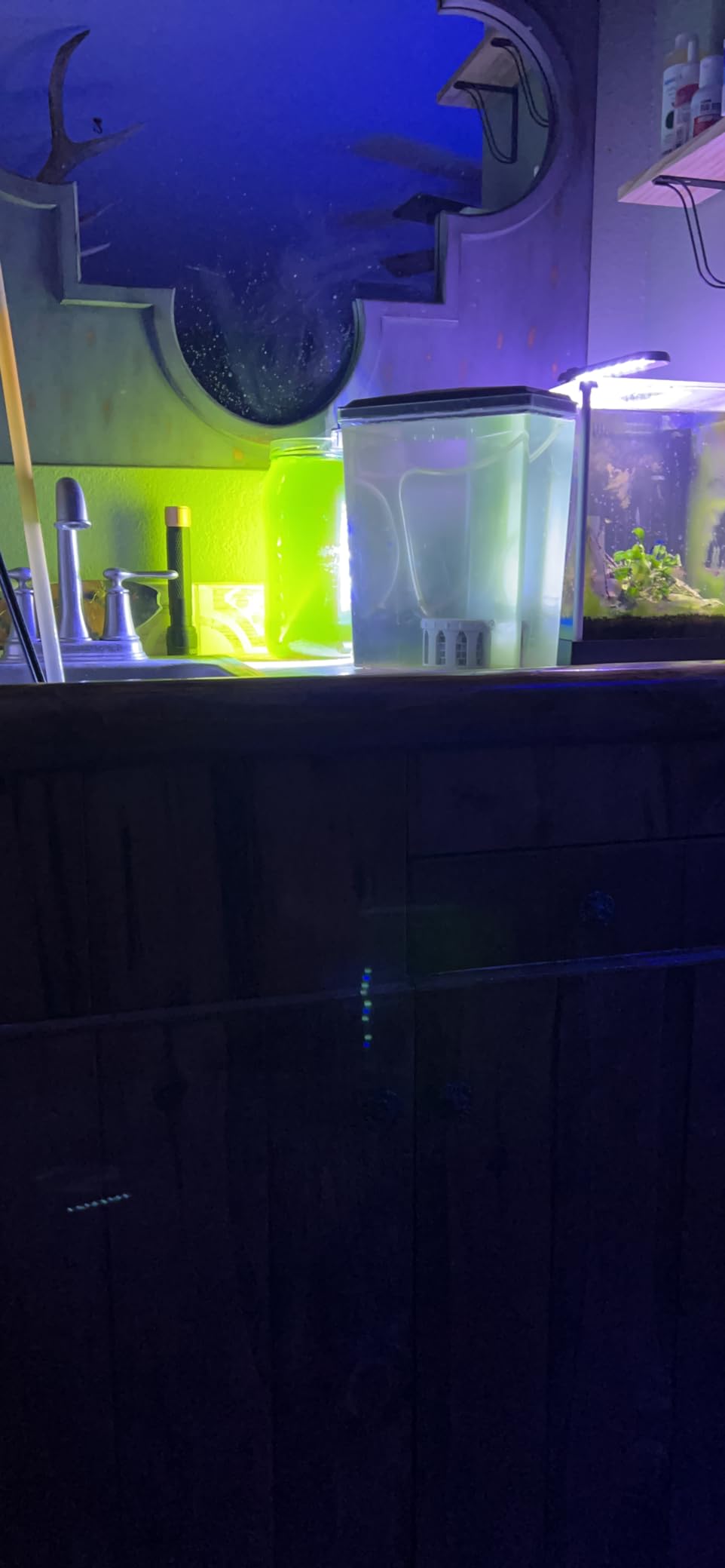 F2 Ferts (8oz) – Concentrated Guillard's F/2 Formula for Phytoplankton Culture - Professional Algae Fertilizer for Nannochloropsis & Tetraselmis - Boosts Copepod & Reef Tank Health* customer photo 1