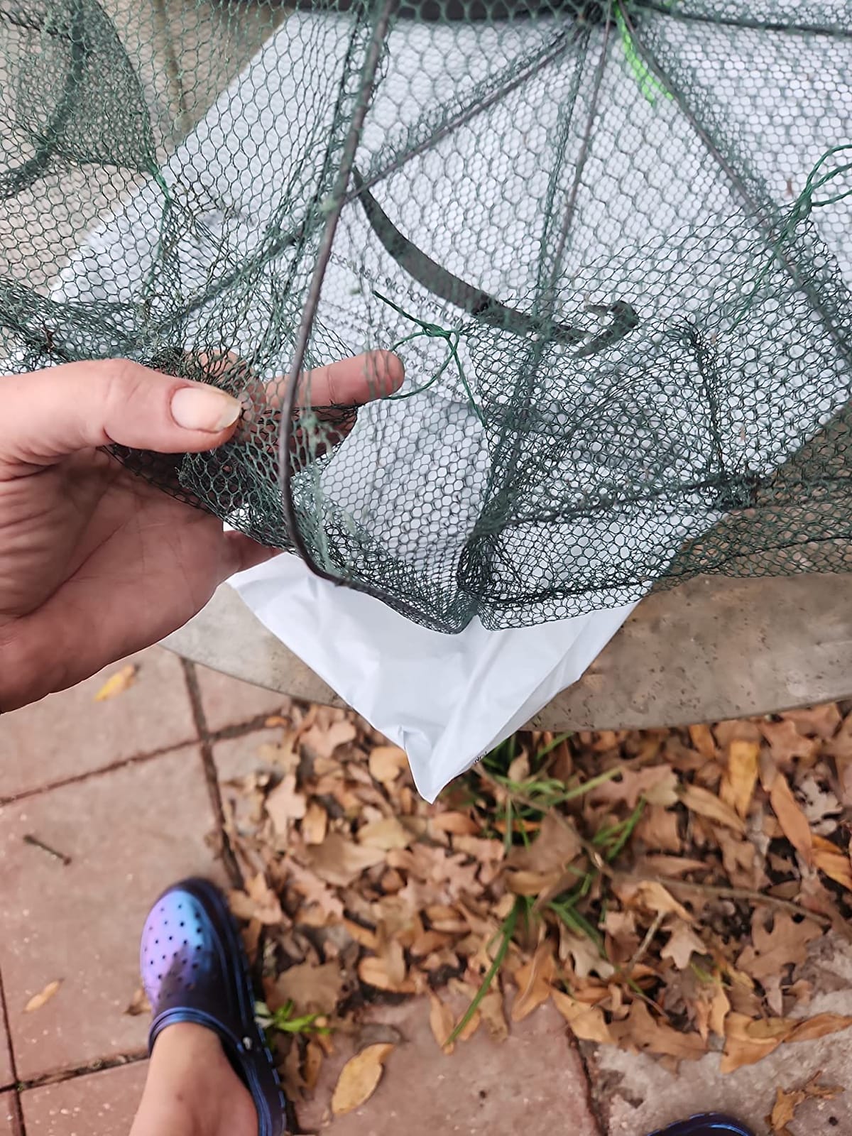 Foldable Fish Trap,Minnow Crawfish Crab Crayfish Bait Net,Portable Shrimp customer photo 2