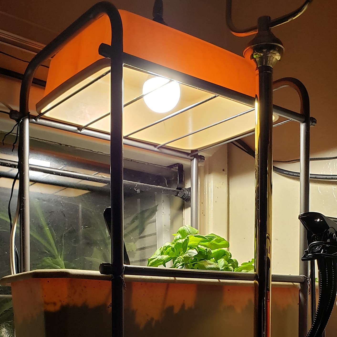 Briignite Grow Light Bulbs, LED Grow Light Bulb A19 Bulb, Full Spectrum customer photo 2