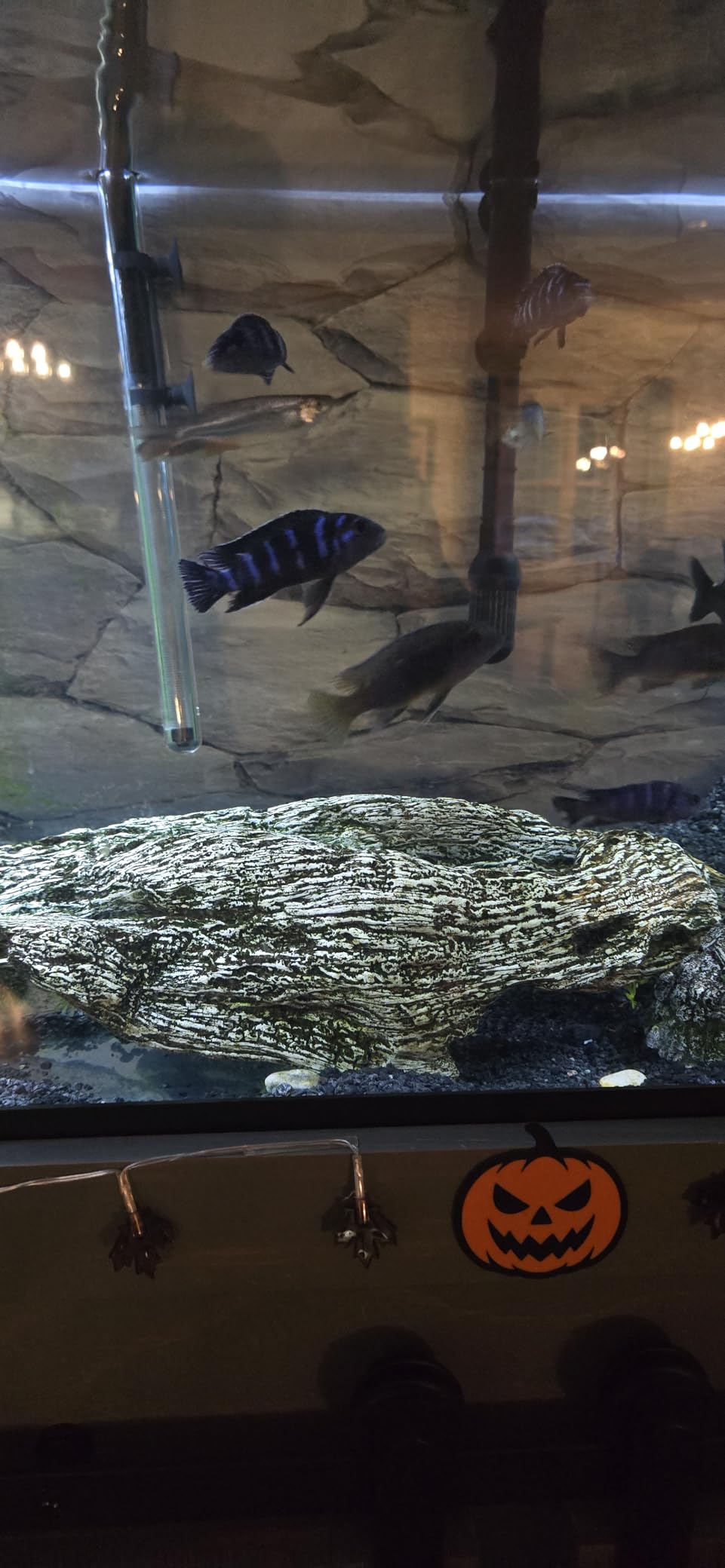 48x24 inches White Stone Aquarium Backdrop Rocky Fish Tank Background Vinyl customer photo 1
