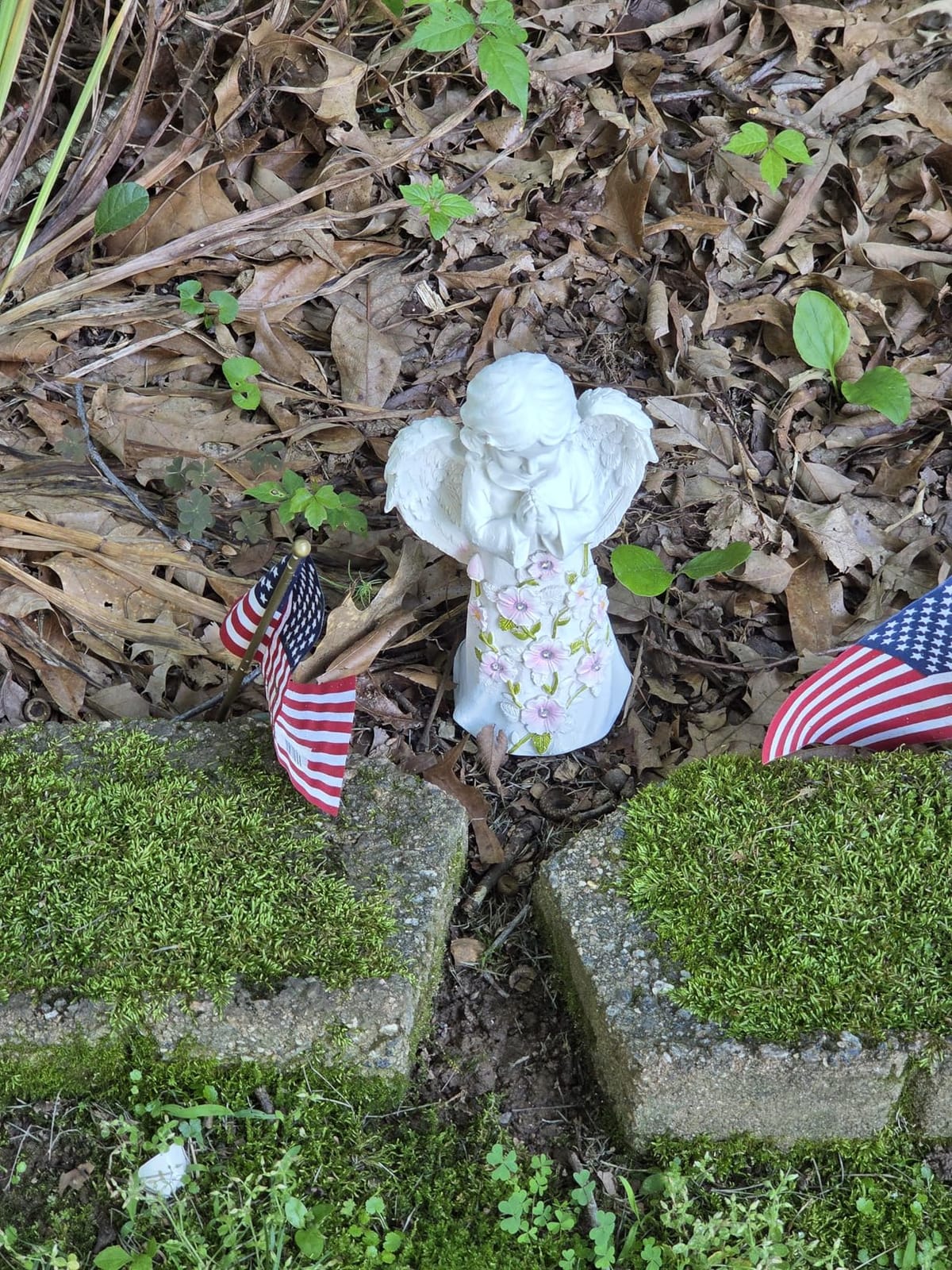 Nacome Solar Turtle Garden Statue - Succulent & 7 LED Lights, Outdoor Decor customer photo 1