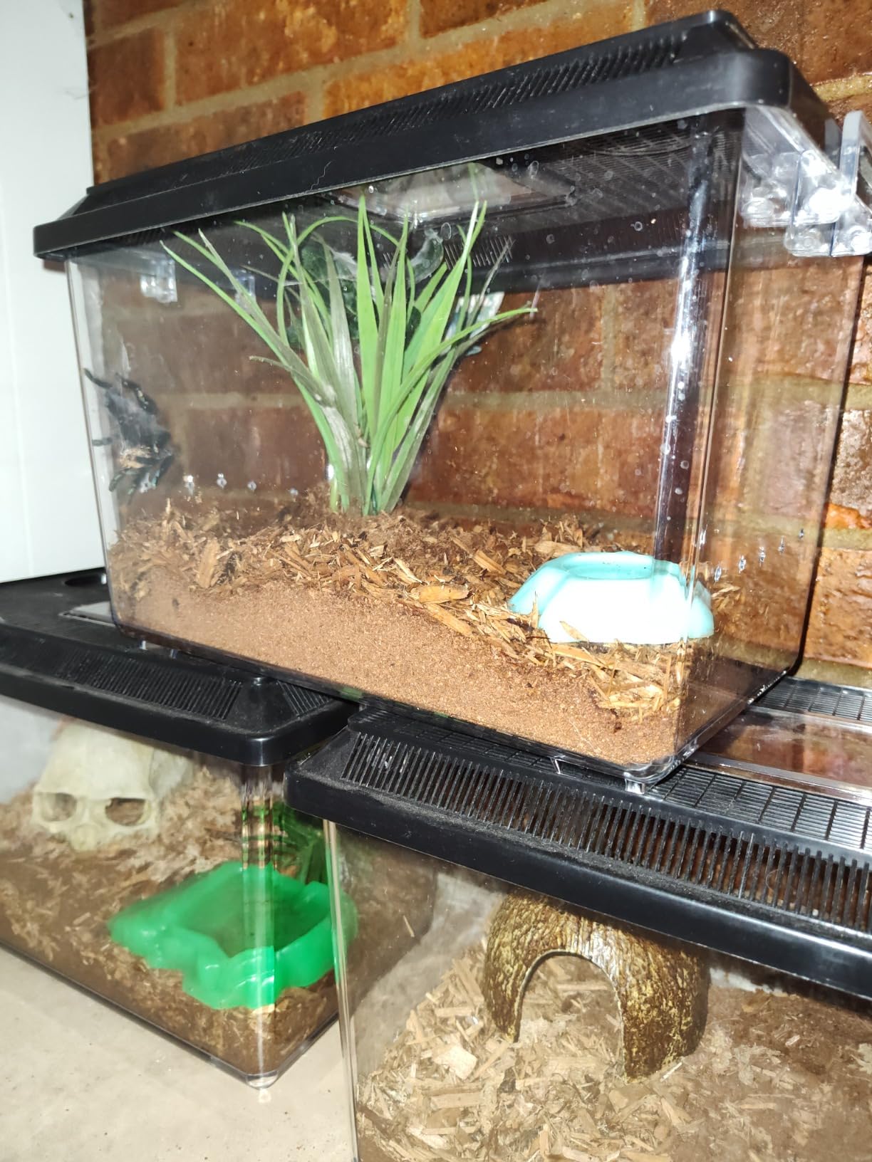 ReptiSafe Water Conditioner for Reptiles 8.75oz - Includes Attached DBDPet Pro-Tip Guide customer photo 2