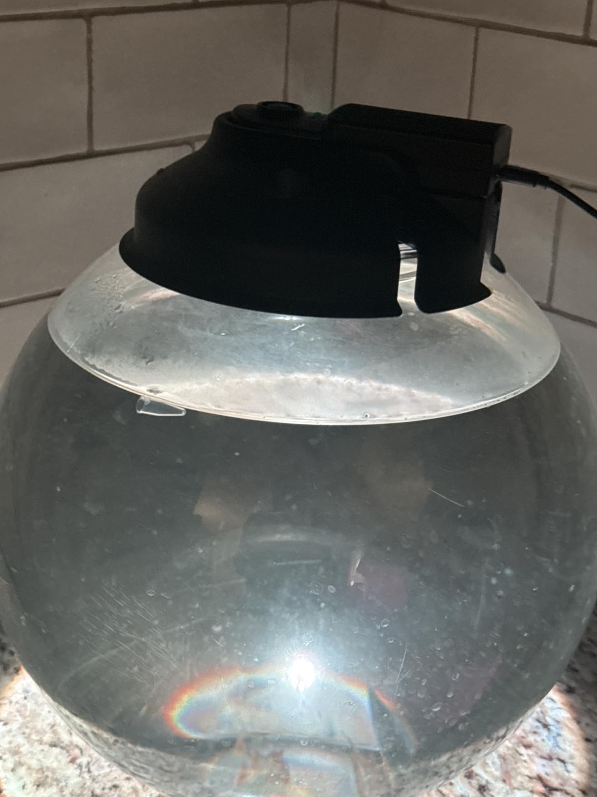GreenWaterFarm Triops Longicaudatus Eggs for Hatching and Culture Suitable to be Pet and Science Project (Pure 200 Eggs) customer photo 1