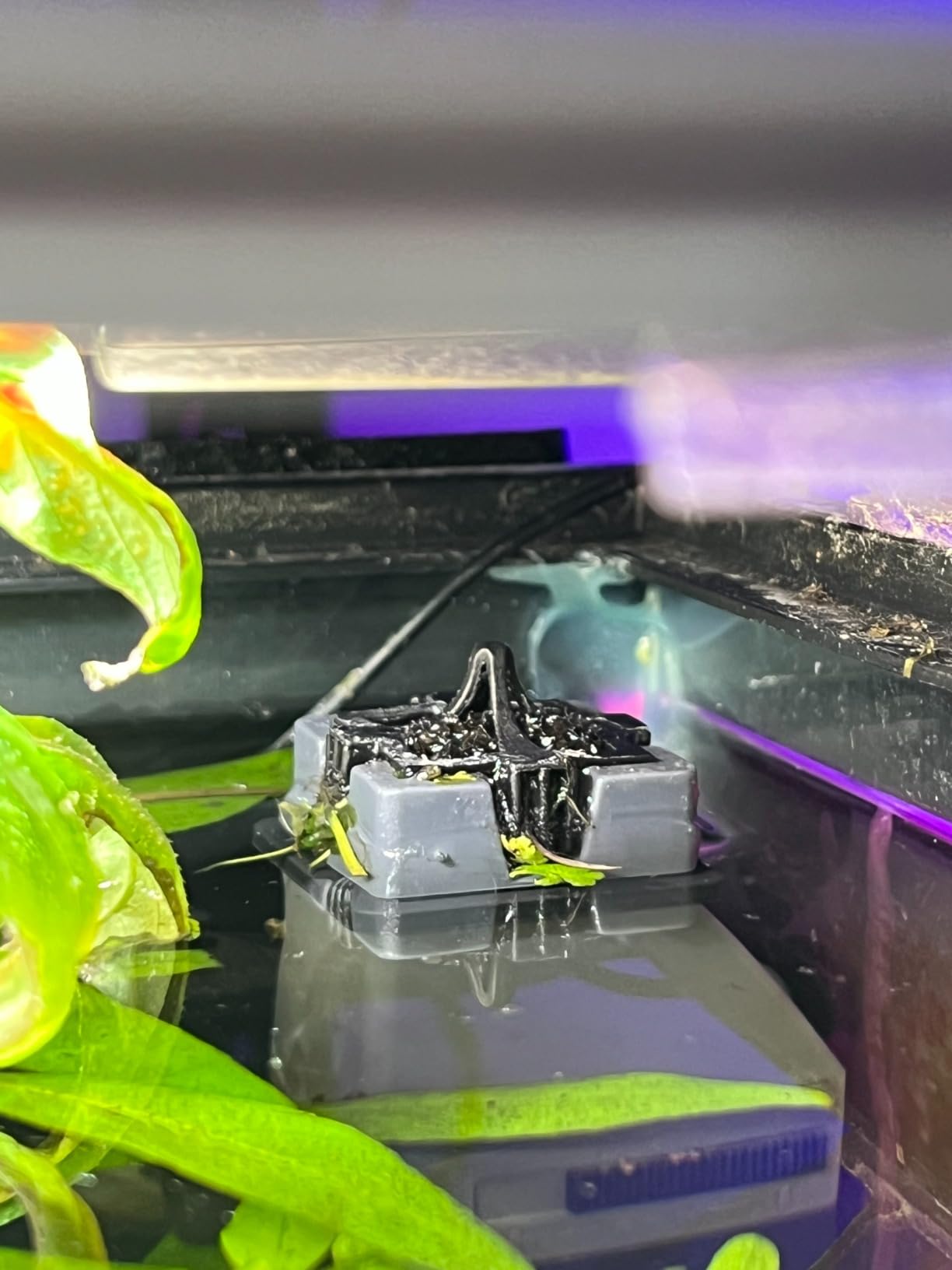 AQUANEAT Aquarium Surface Skimmer, Protein Skimmer, Internal Filter for Aquarium, 80GPH customer photo 1