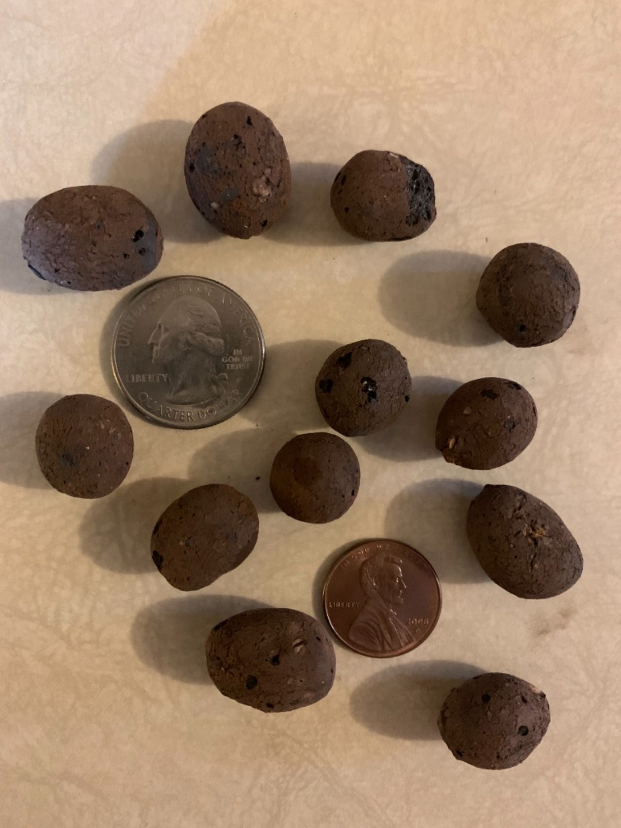 Boniosz 2 Liters Leca Expanded Clay Pebbles 0.4''-0.7'' Grow Media Porous Stones Natural Clay Aggregate Pellet Ventilation Drainage Water Purification Ceramsite for Hydroponics, Orchids, Aquaponics customer photo 2