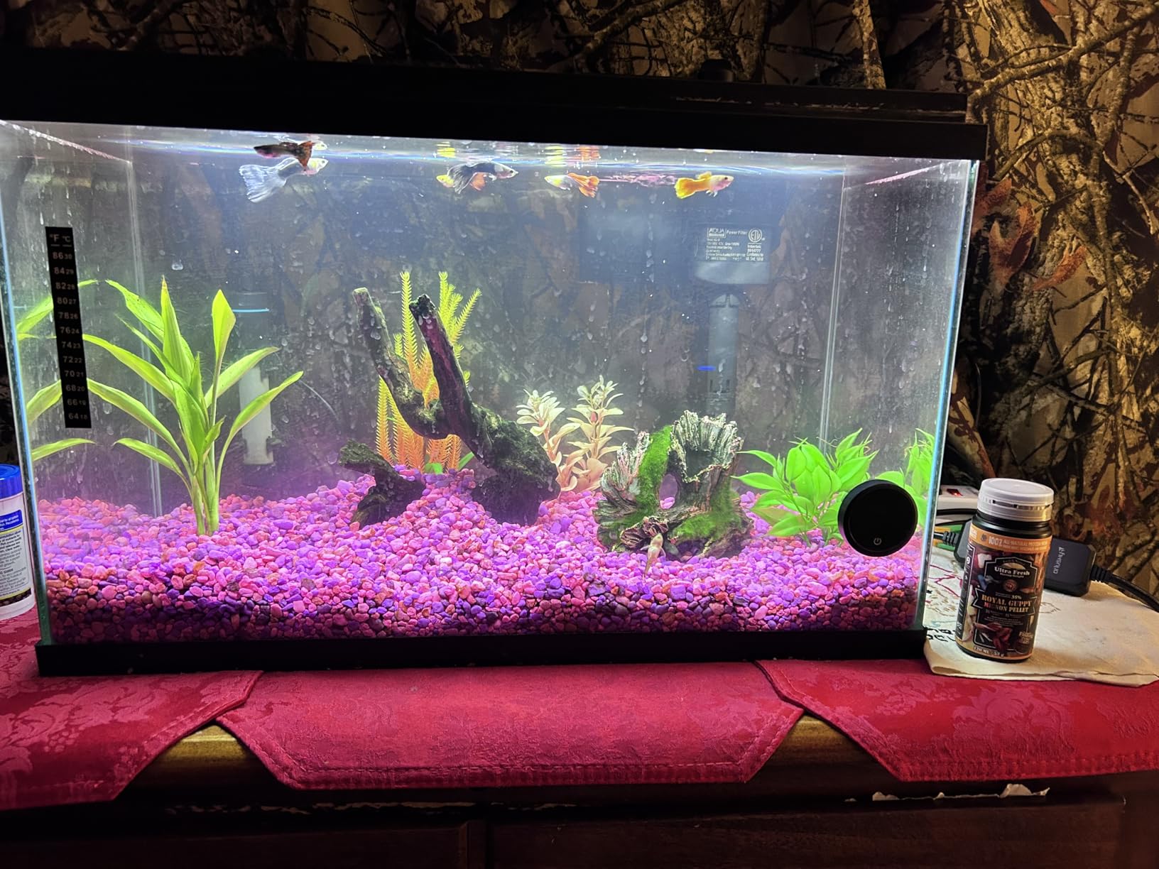 Ultra Fresh Royal Guppy Mignon Pellet, All Natural Guppy Food, Sword Prawns, Spirulina, Highly Nutritious, for Cleaner Water and More Vibrant Color 1.87 oz customer photo 1