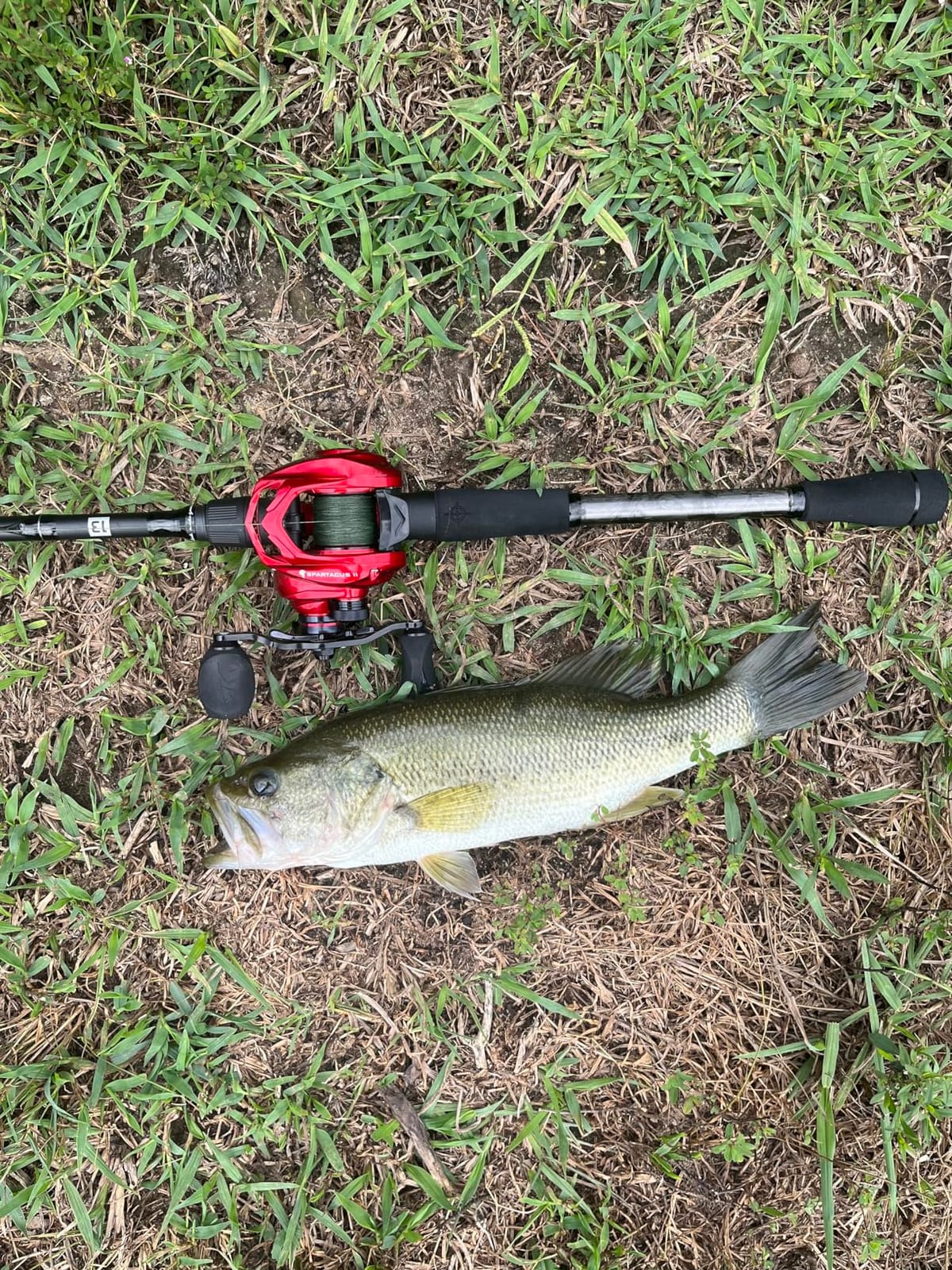 KastKing Spartacus II Baitcasting Fishing Reels with 7.2:1 Gear Ratio customer photo 2
