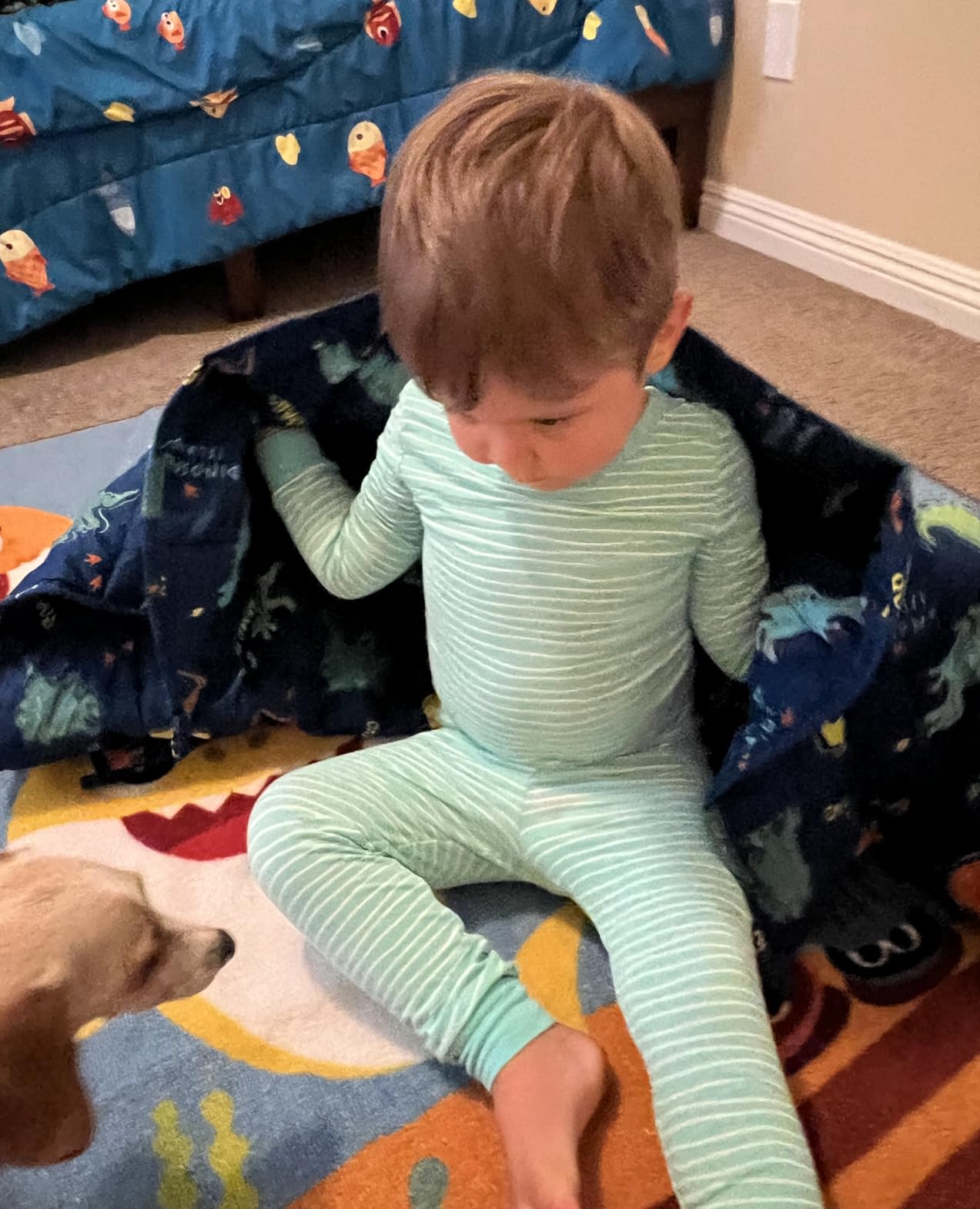 Kivik Weighted Blanket 3lbs, Cooling Blue Dinosaur Heavy Blankets, 36