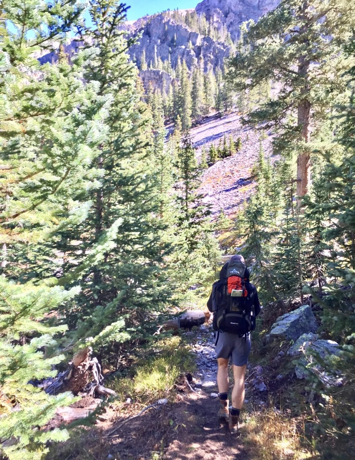 Teton 65L Scout Internal Frame Backpack for Hiking, Camping, Backpacking, Travel, Rain Cover Included, Pacific customer photo 2