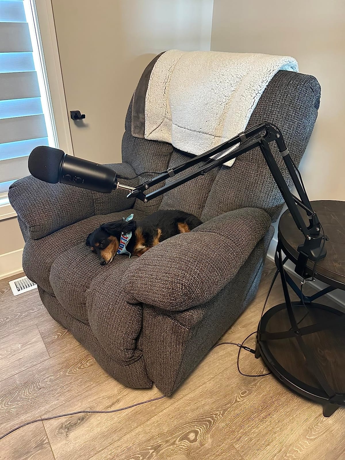 Heavy Duty Adjustable Boom Arm Microphone Stand customer photo 2