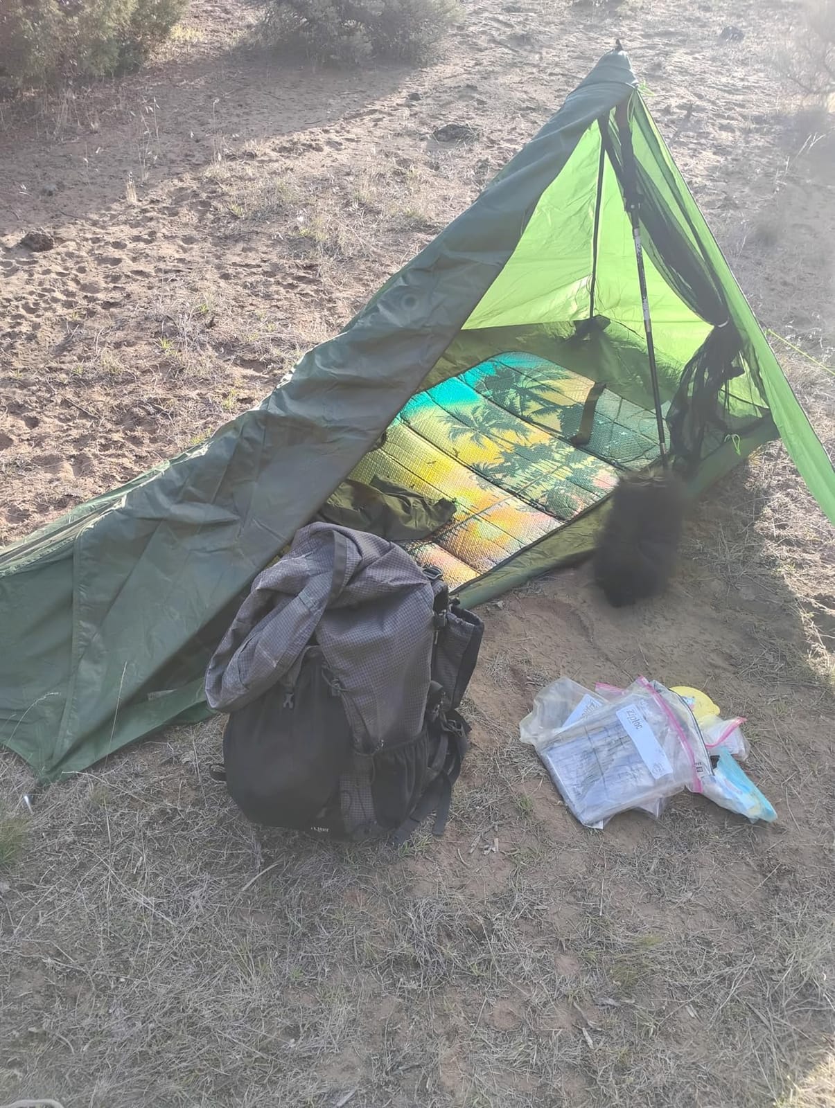 1 Person Trekking Pole Tent, Ultralight Backpacking Hiking Tent (NO Poles) customer photo 2
