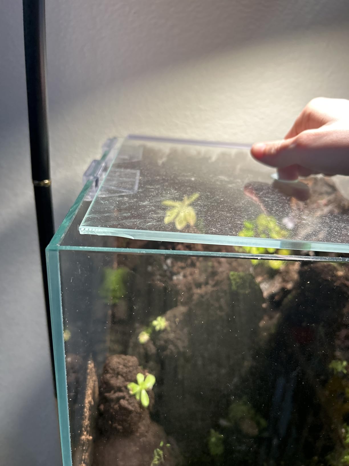 Allcolor Artisan Grade Ultra Clear Rimless Aquarium Tank (4.6Gal) customer photo 2