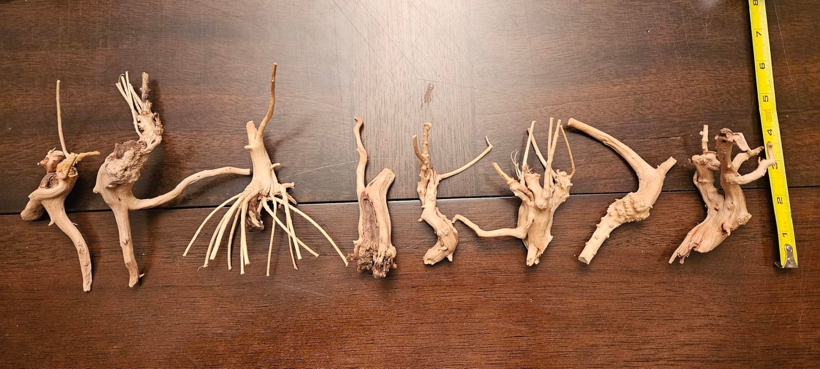 Vmiapxo 8-Pack Natural Driftwood, Sinkable Spider Wood (4''-6'') customer photo 1