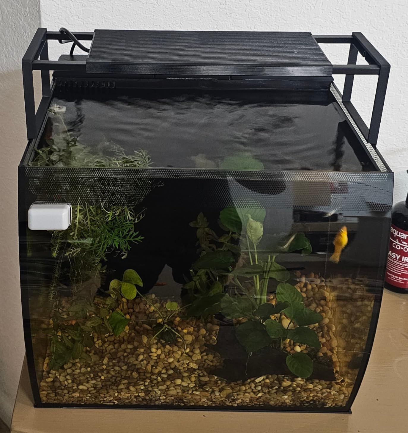 Chihiros WRGBII Slim Edition 30 - Full Spectrum Aquarium LED Light for Fish Tanks - High Intensity for Coral Reef & Aquatic Plant Display, Bluetooth App Control, Sunrise & Sunset Custom Modes - 30cm customer photo 1