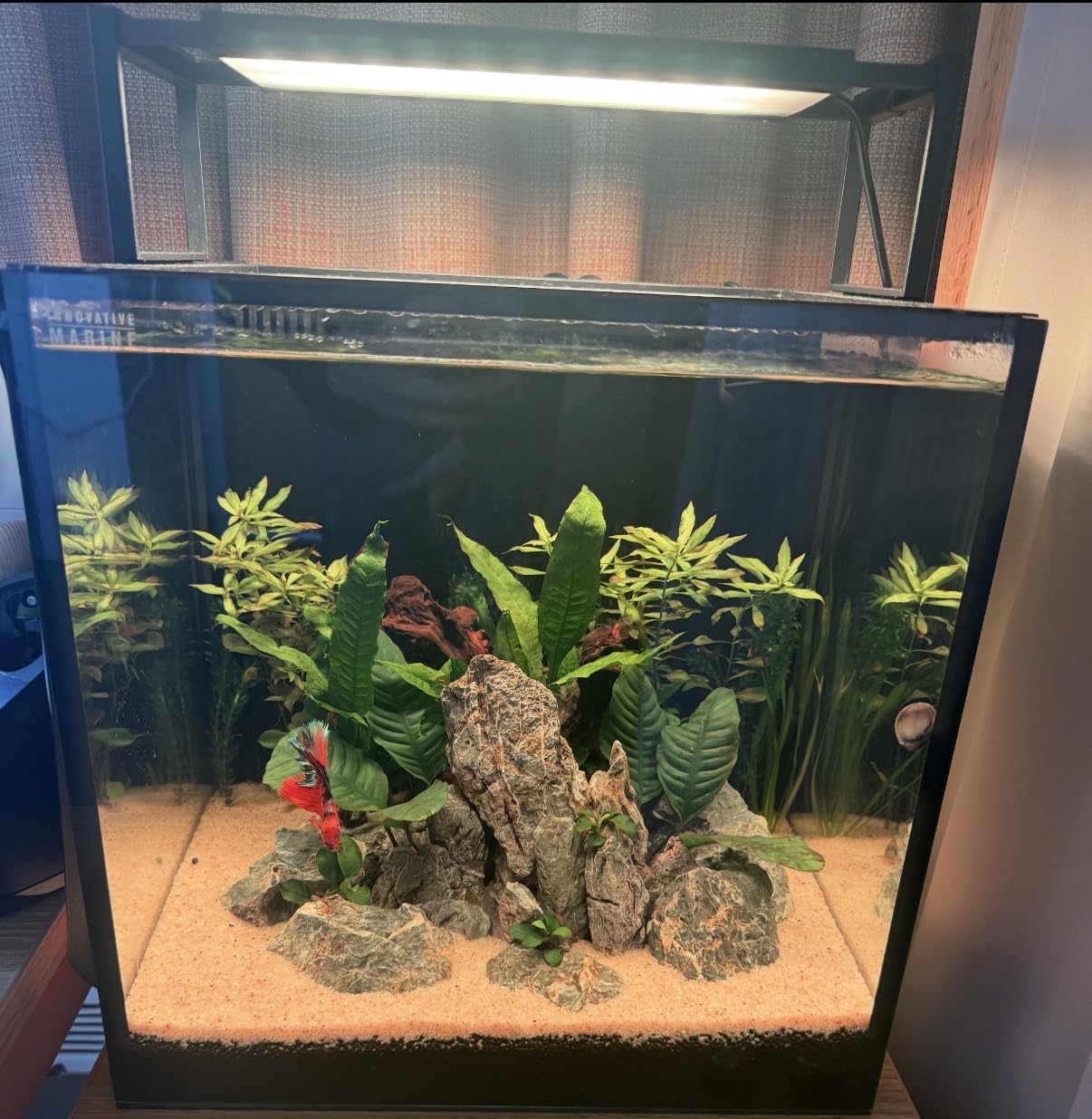 Chihiros WRGBII Slim Edition 30 - Full Spectrum Aquarium LED Light for Fish Tanks - High Intensity for Coral Reef & Aquatic Plant Display, Bluetooth App Control, Sunrise & Sunset Custom Modes - 30cm customer photo 2