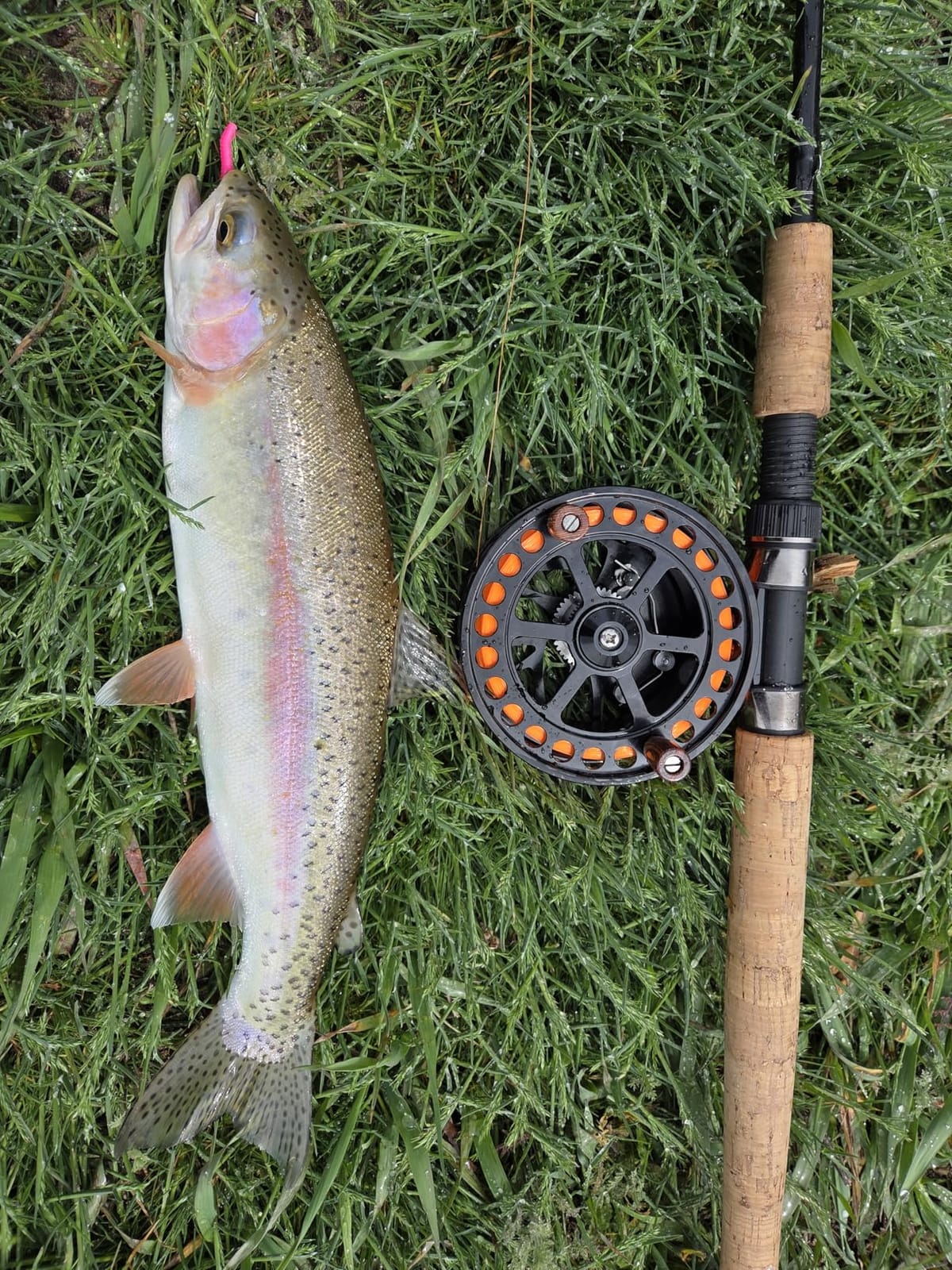 Maxcatch Center Pin Floating Fishing Reel Aluminum CNC Machined Centerpin Reel 4 1/2 INCH 110MM (Black) customer photo 1
