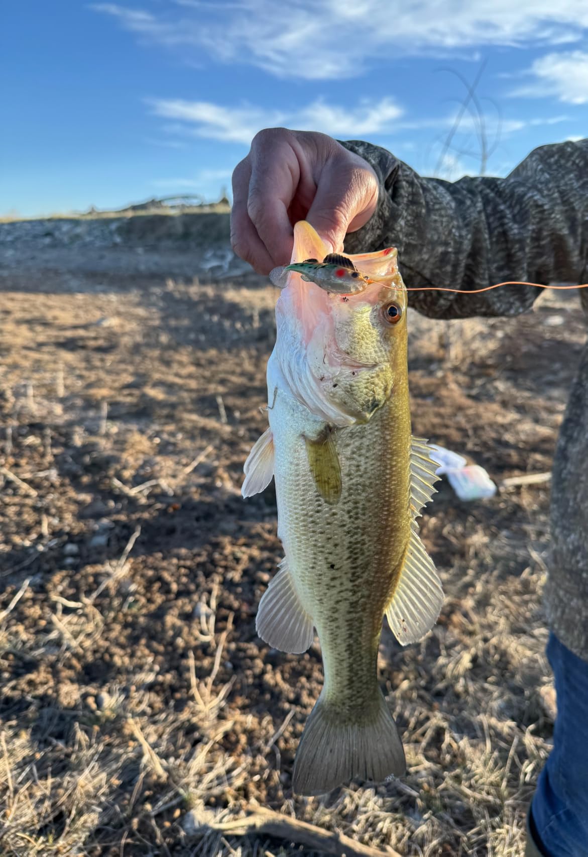 GOTOUR Pre-Rigged Soft Fishing Lures with Weedless Hooks for Bass Trout customer photo 1