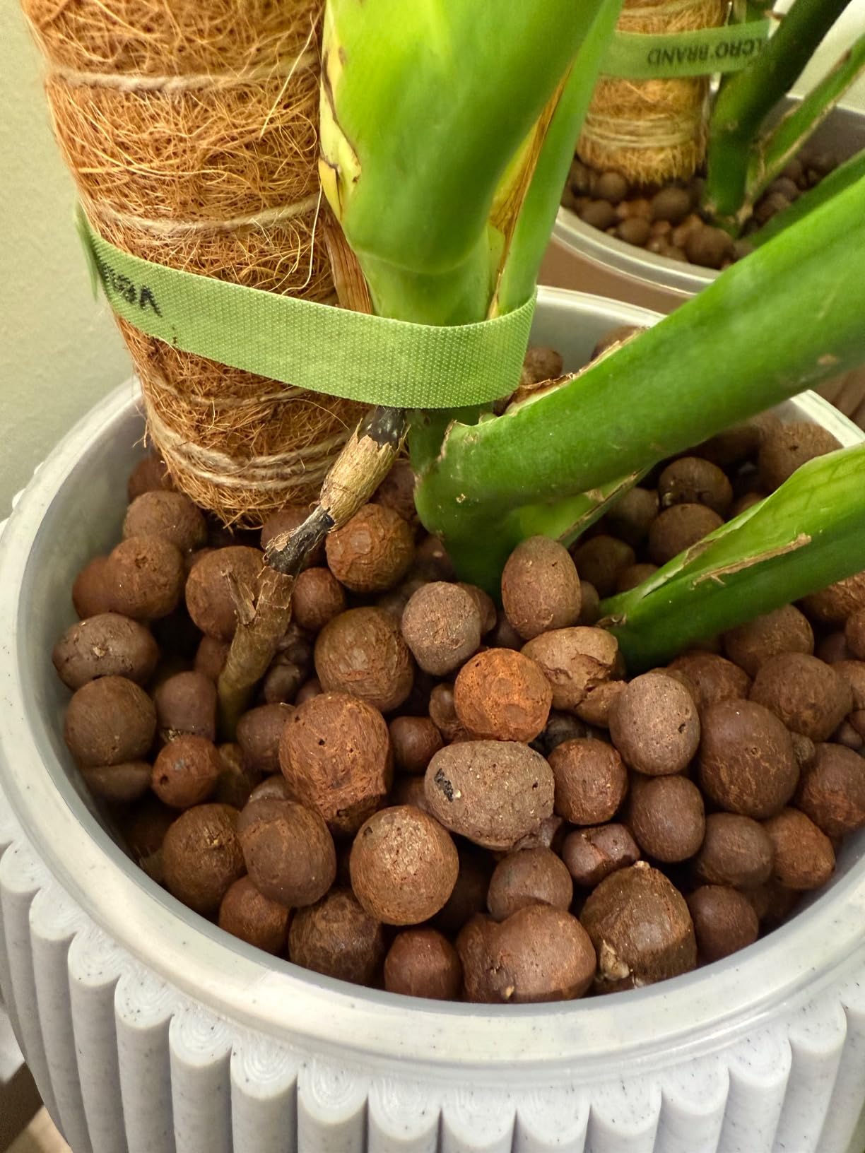 Legigo 10LB Leca Clay Pebbles for Plants 4mm-16mm Clay Balls for Hydroponic customer photo 2