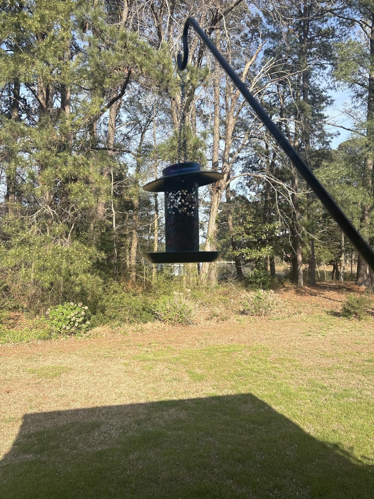 Ottsuls Solar Bird Feeder for Outdoors Hanging, Metal Wild Cardinals Garden Lantern with S Hook, Weatherproof and Water Resistant Birdfeeders as Gift Idea for Women Mom Grandma Bird Lovers (Blue) customer photo 2