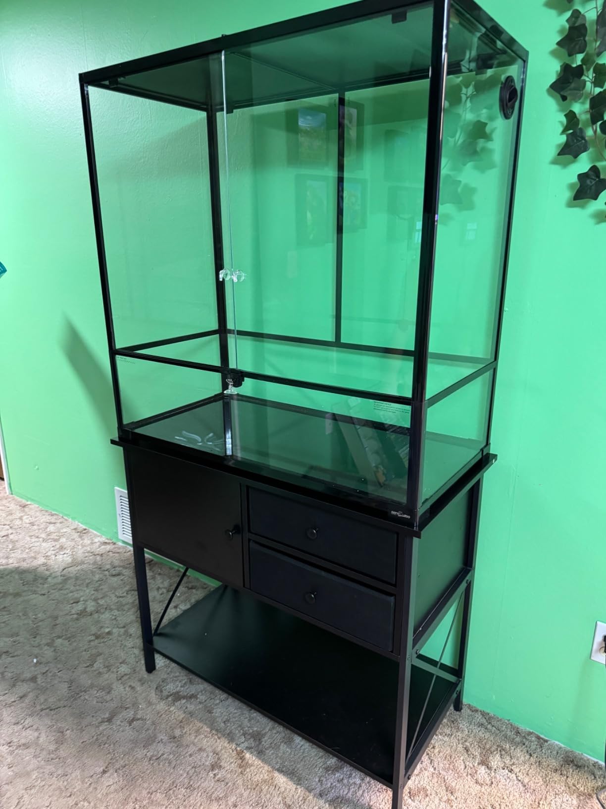 REPTI ZOO Large Reptile Paludarium Tank, Vertical Reptile Terrarium Wide & Tall Amphibian Tank with Top Screen Ventilation (36