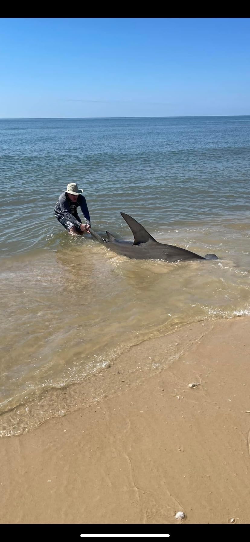 End Game Tackle 15' Shark Rig with Mustad Circle Hook - Braided Line, Black, 15' Total Length, 5' Bite Section, 10' 400lb Leader customer photo 1