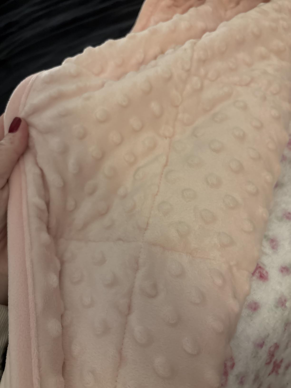 Alomidds Weighted Blanket (60